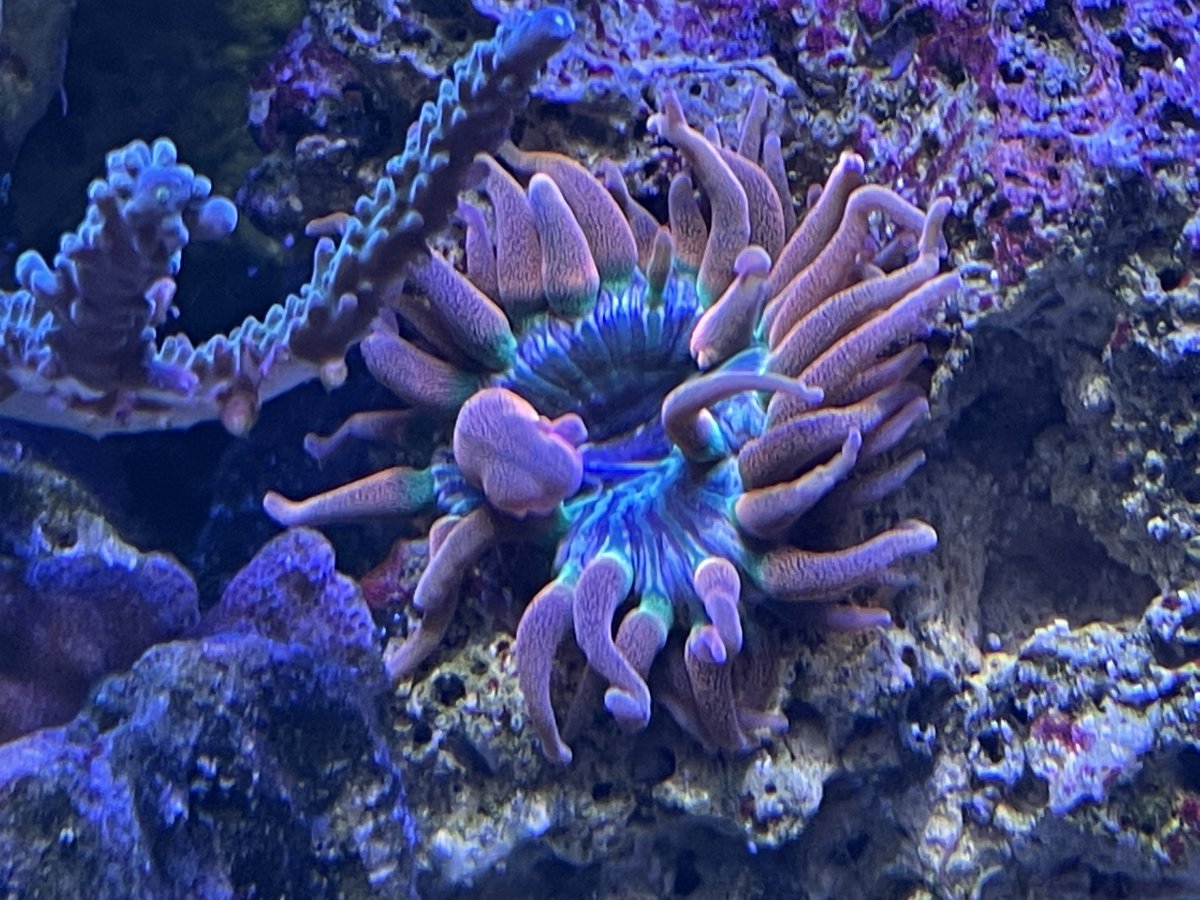 5A624831-46E9-4C7E-BF03-CA37CA2658B1.jpeg