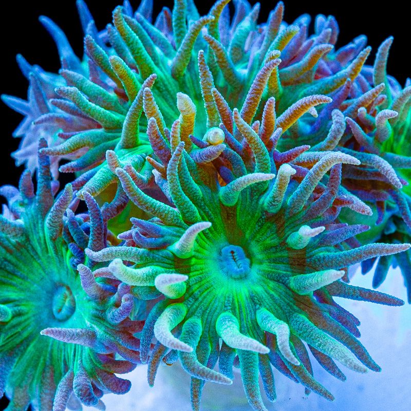 5AE79DFC-2261-43E7-BB42-7121B90B905E.jpeg