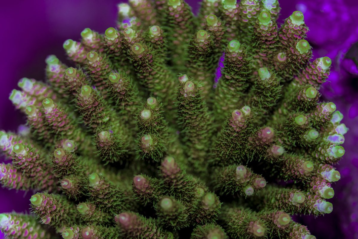5b5_12.jpg