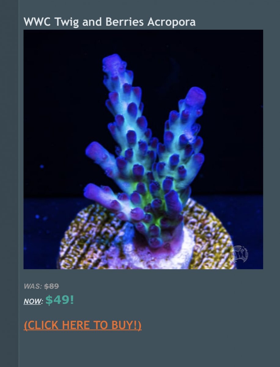 5BF7FF07-B8ED-4A5E-B46F-BD19B8AA3C28.jpeg