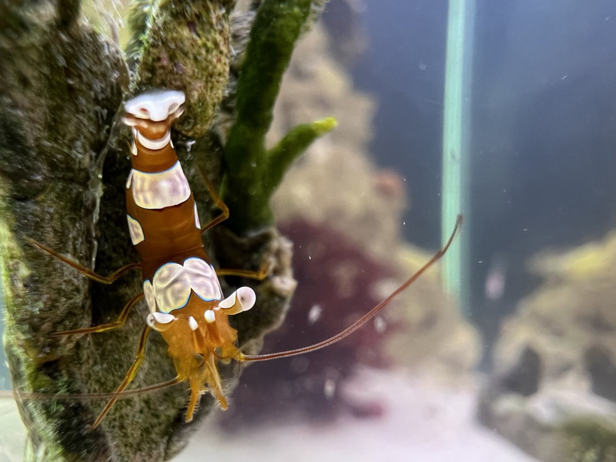 5CD863A5-B2B9-4B50-B634-9D9BBA252A39.jpeg
