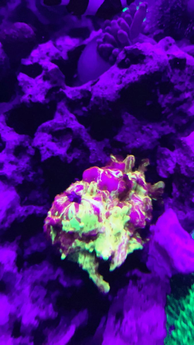 5F4F4F89-5574-4AB1-B2D5-08E3071E1CE6.jpeg