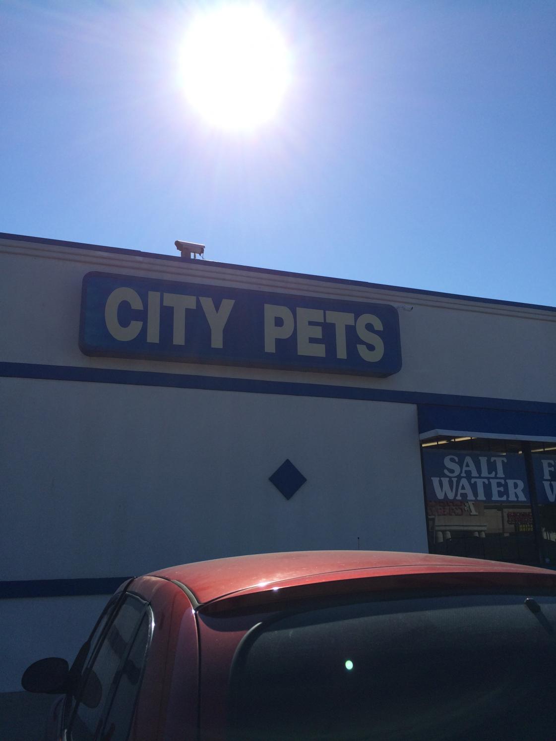6 City Pets.jpg
