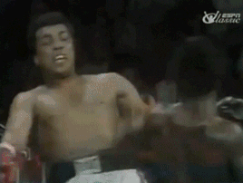 6.gif