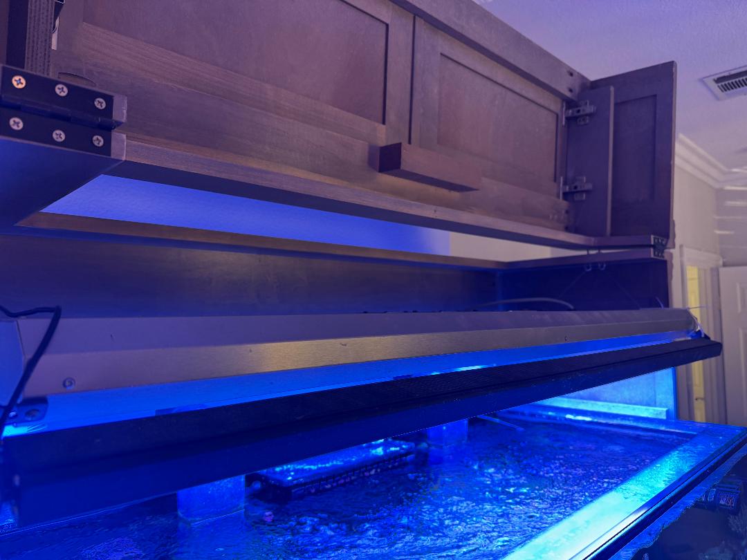 California - T5 - Dry Goods - ATI Sunpower T5 8x54w + ReefBrite XHO 48 ...