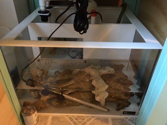 60 gal.JPG