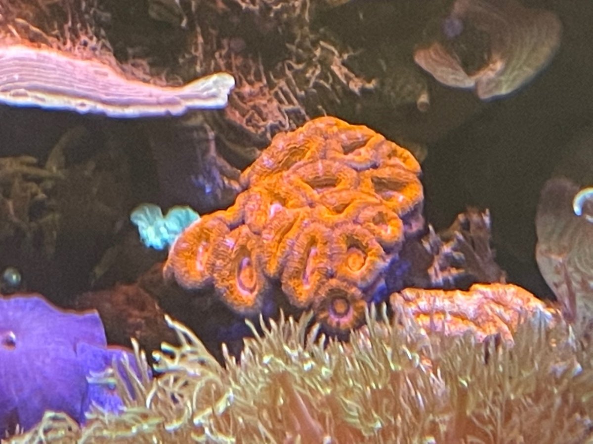 600g progress g.jpg