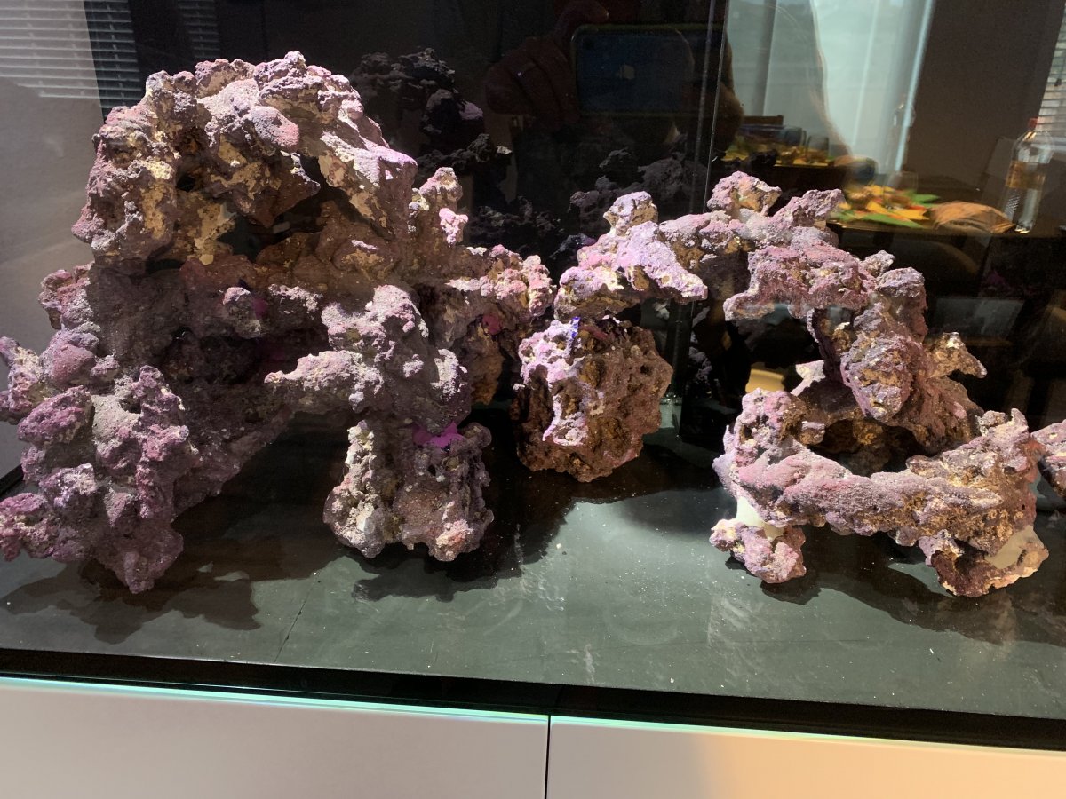Build Thread - New Guy with a Red Sea Reefer 450 build! | Page 2 ...