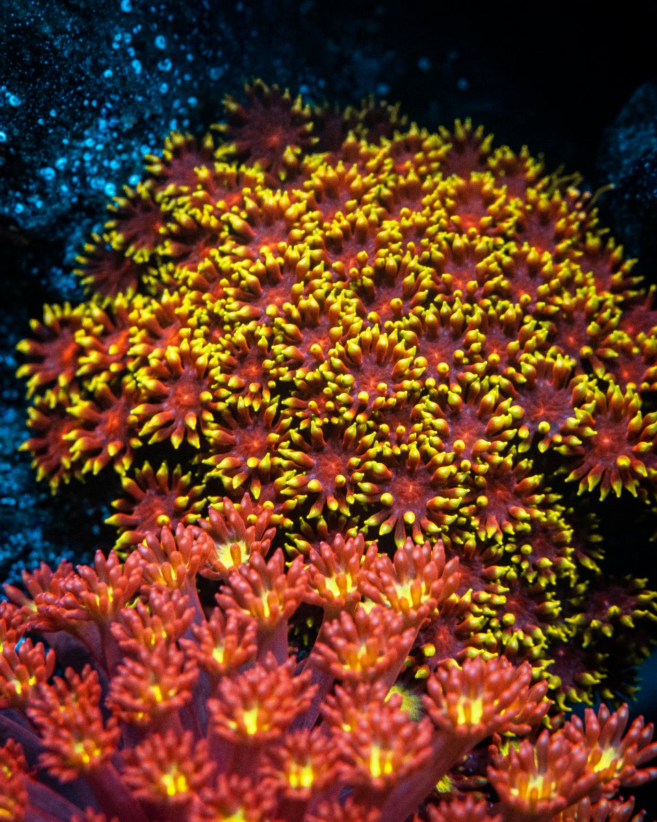 60F87378-6D9A-437A-9C02-CEC31B856F53.jpeg