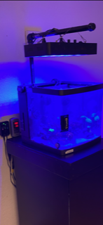 Chinese black box LED | Reef2Reef