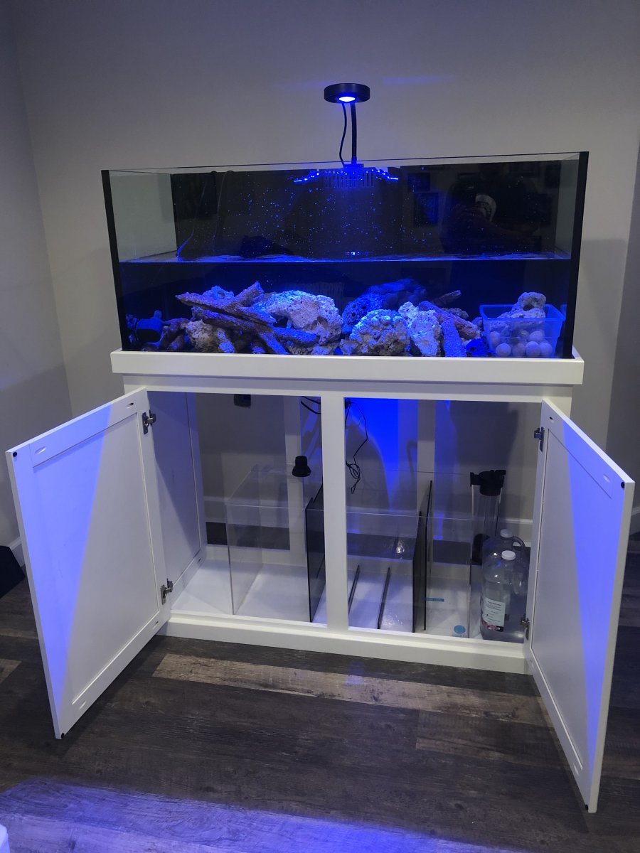 Rimless aquarium for sale cheap