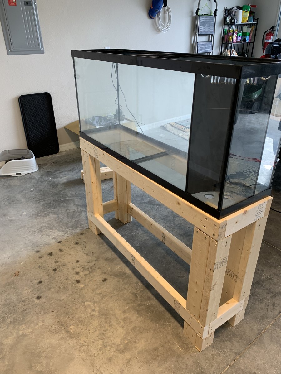 Build Thread 55 Gallon first reef tank Reef2Reef