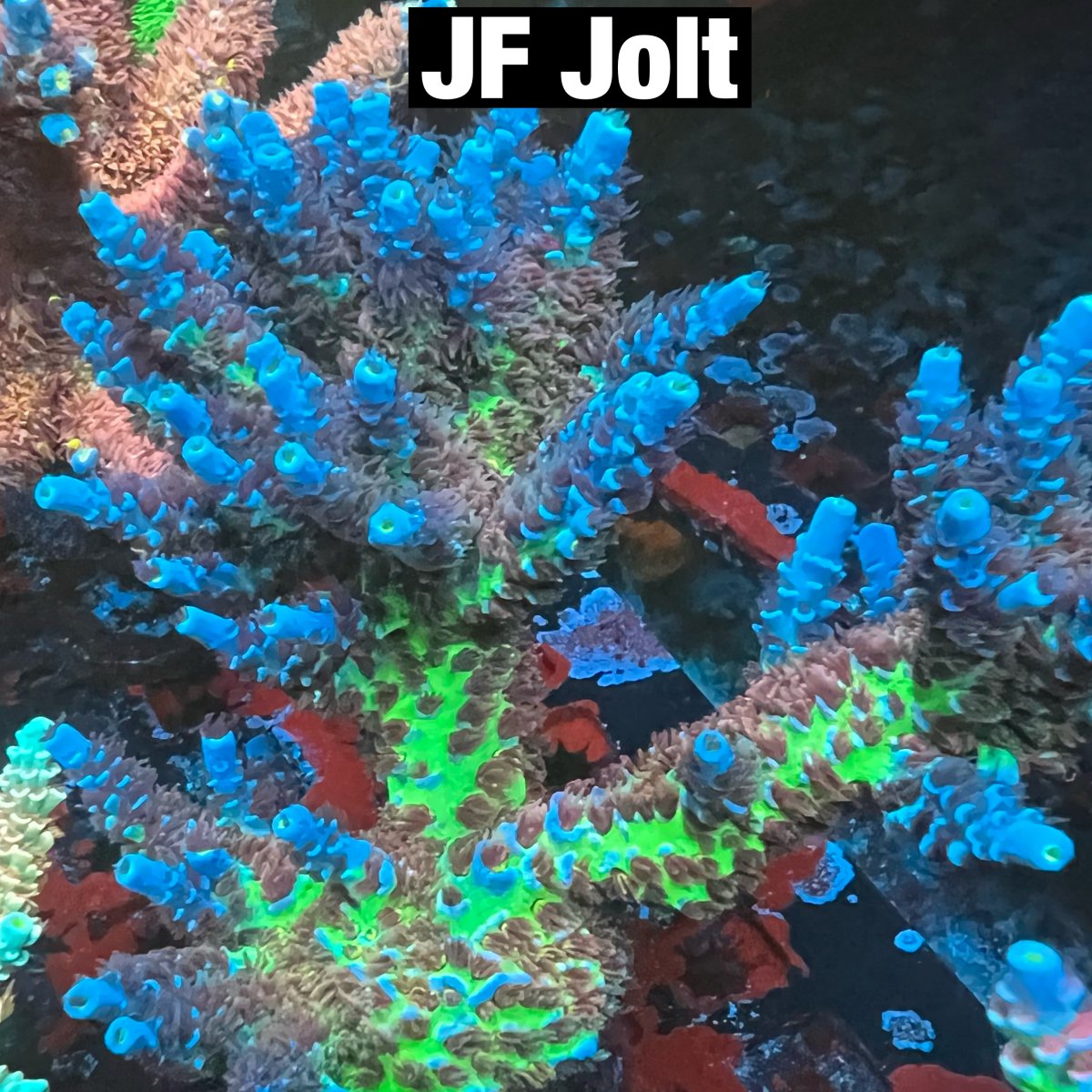 624DC49D-00D5-4B27-B60B-10220F6FBAAF.jpeg