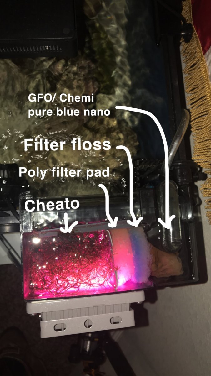 6282BFC2-D5D4-4FF0-8E68-E24D02C44EF2.jpeg
