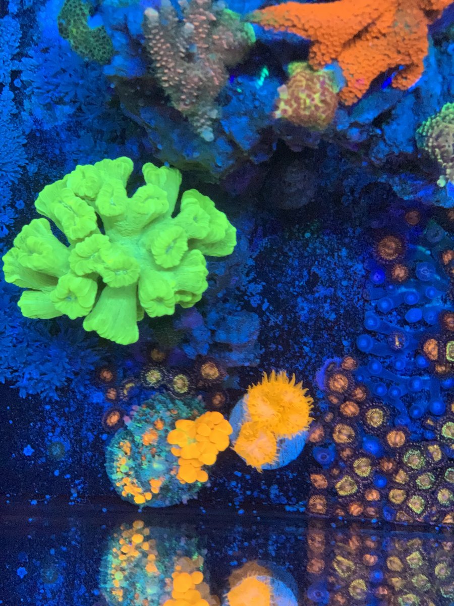 6391F0D2-D42E-4A2D-82F4-80B0A9C83A66.jpeg