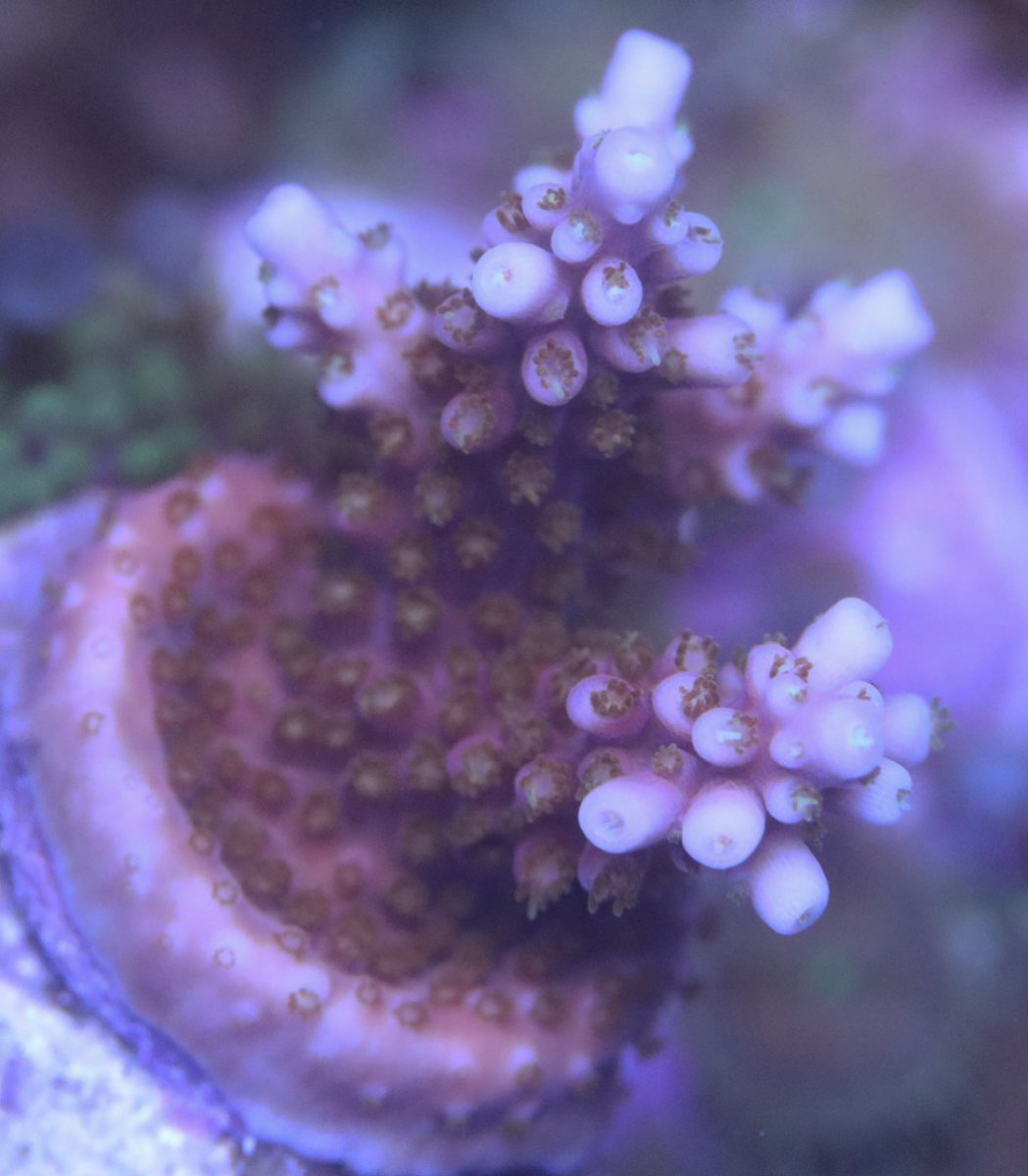 6405465E-6A02-4A7A-83EF-11233A660F33.jpeg