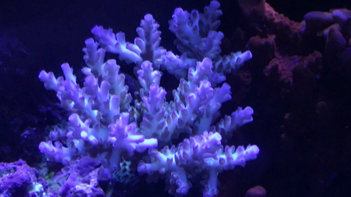 6422CC66-ECE2-421D-90B8-8C6EC69F0F17.jpeg