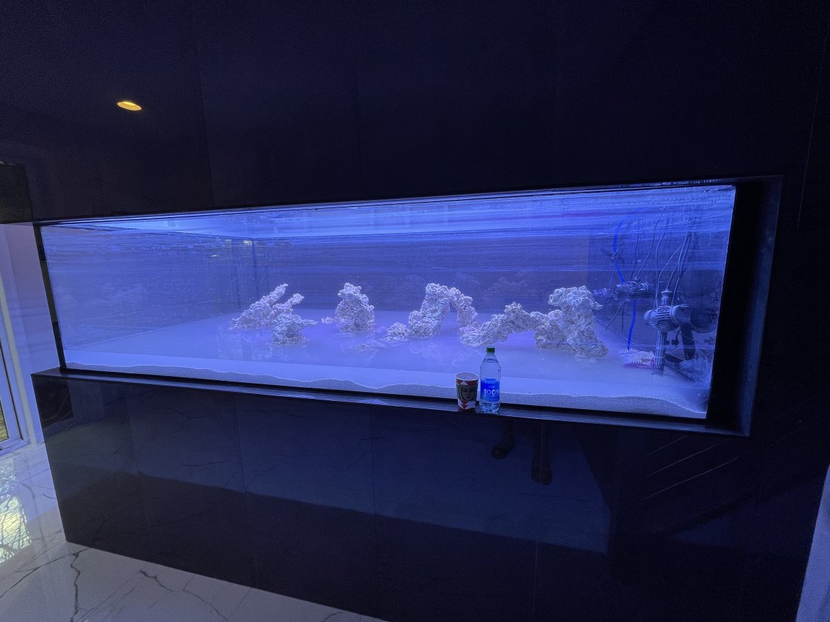 Monster Build - 1K Reef.... Miracles custom 1000 gallon aquarium 120 ...