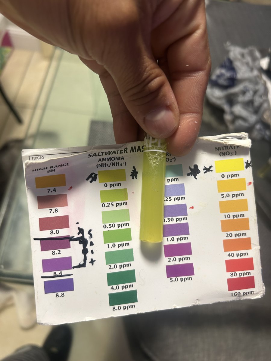Hannah vs api ammonia: .2api/1.8 hannah | Reef2Reef
