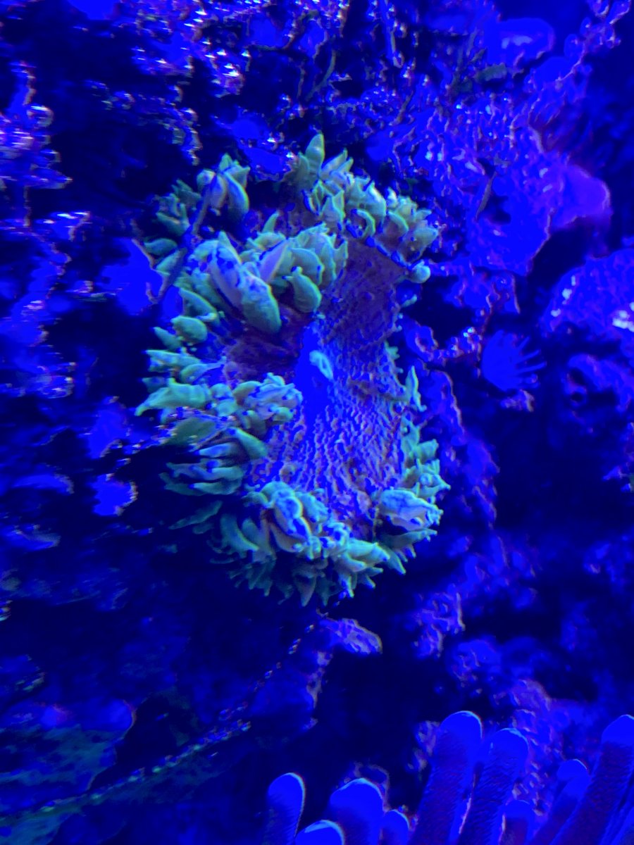 64D56317-9AAF-401A-8B4E-19D0BC1E1475.jpeg