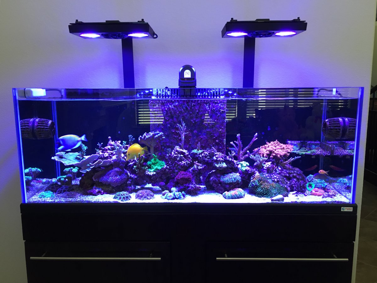 65 gal.jpg