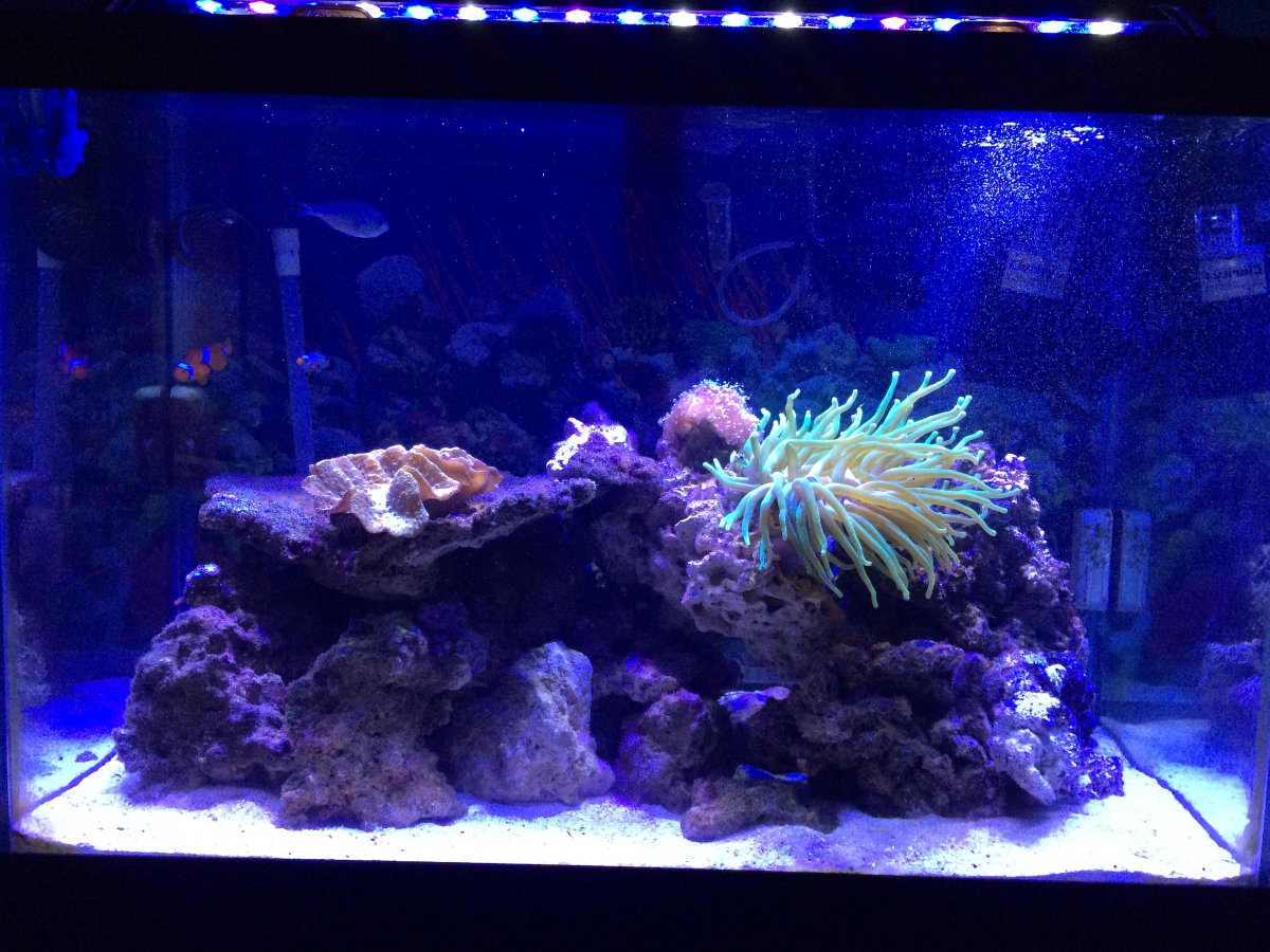 65 Progression Pic #2.JPG