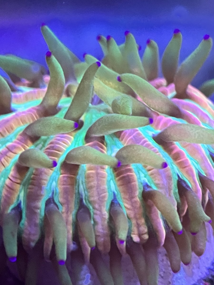 66193B8B-E6DF-4319-A225-AF909BC0415E.jpeg