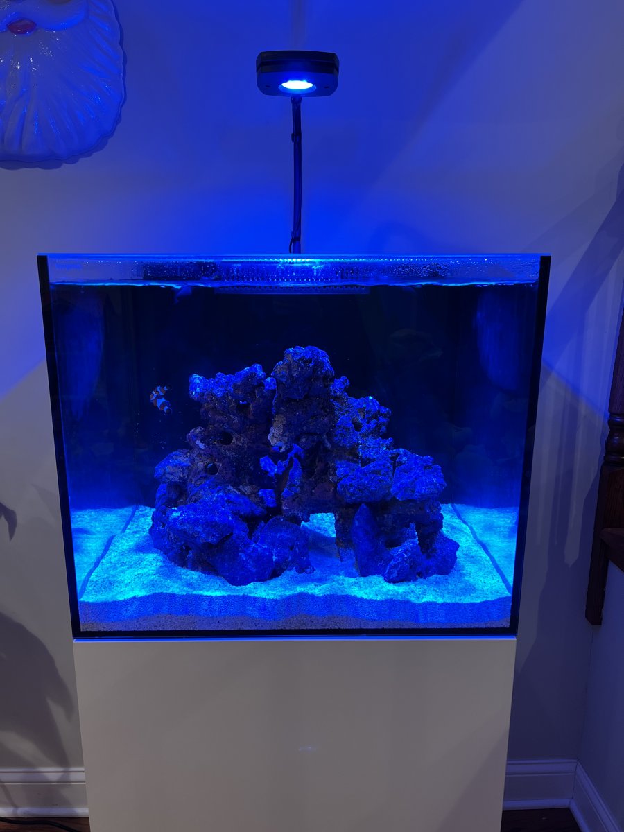 Wave maker for hot sale tropical fish tank