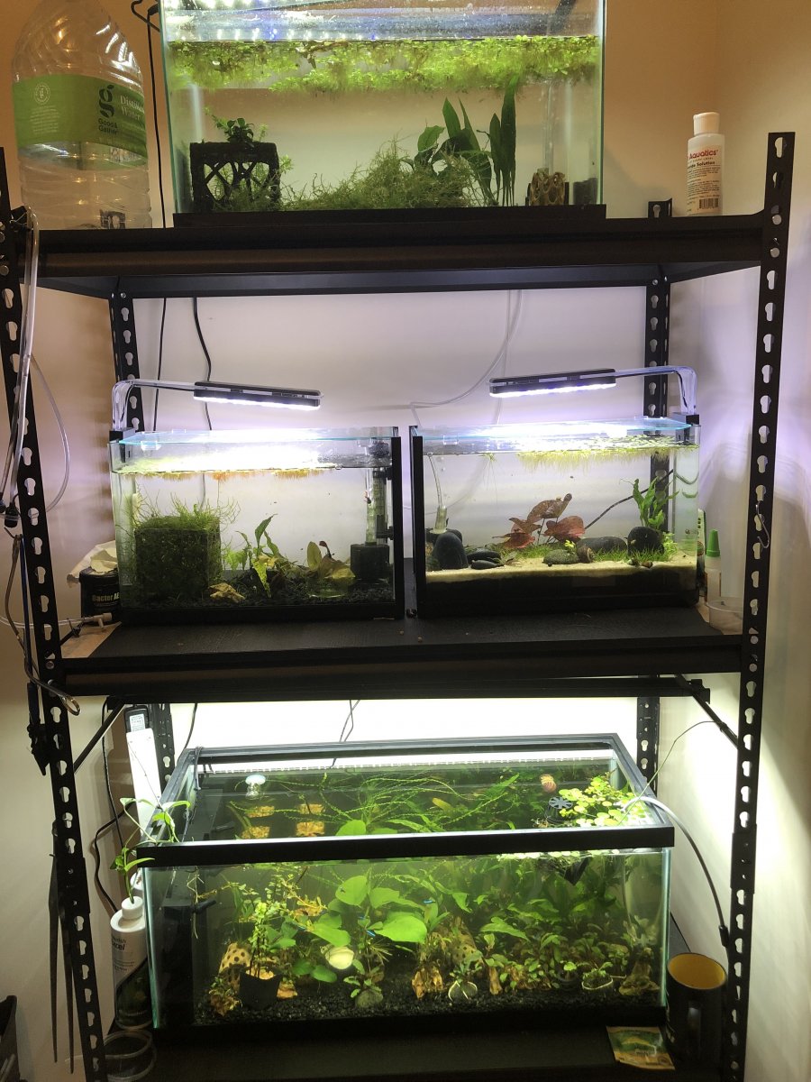 Aquarium shelving on sale