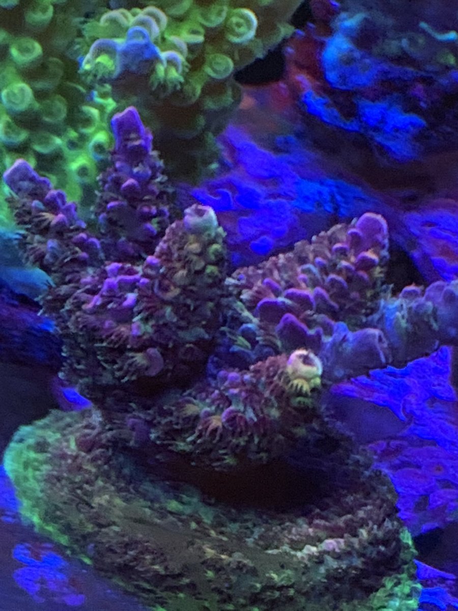 66E1383E-DAA3-44DA-90CA-9A3EF3A76B28.jpeg