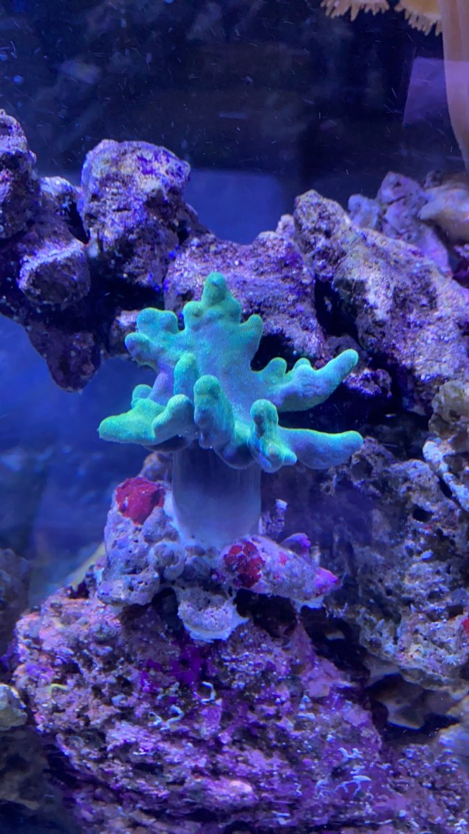 679E1990-B4E5-4BC2-99DF-E084735F81A8.jpeg