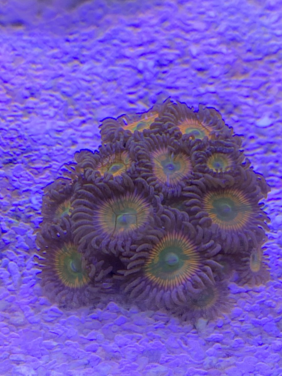 67F220DF-EE6E-403E-9BD0-7A50D6FD288C.jpeg