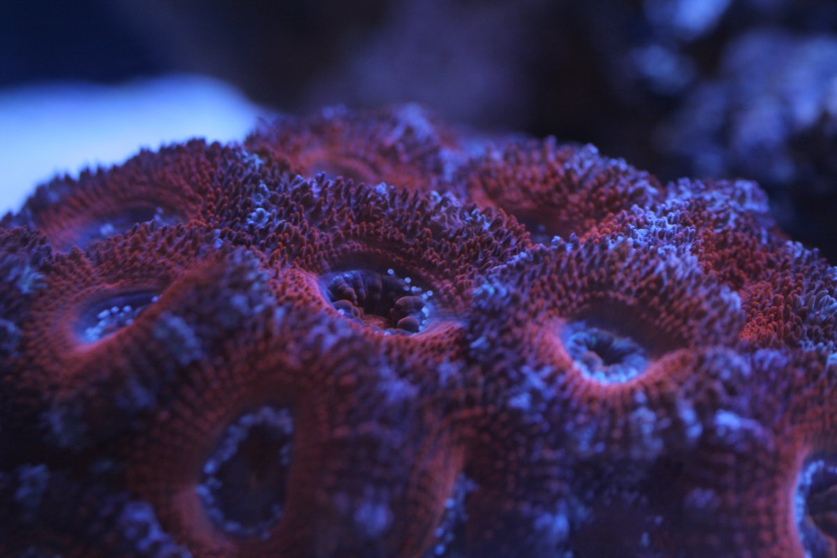 689_8970.JPG