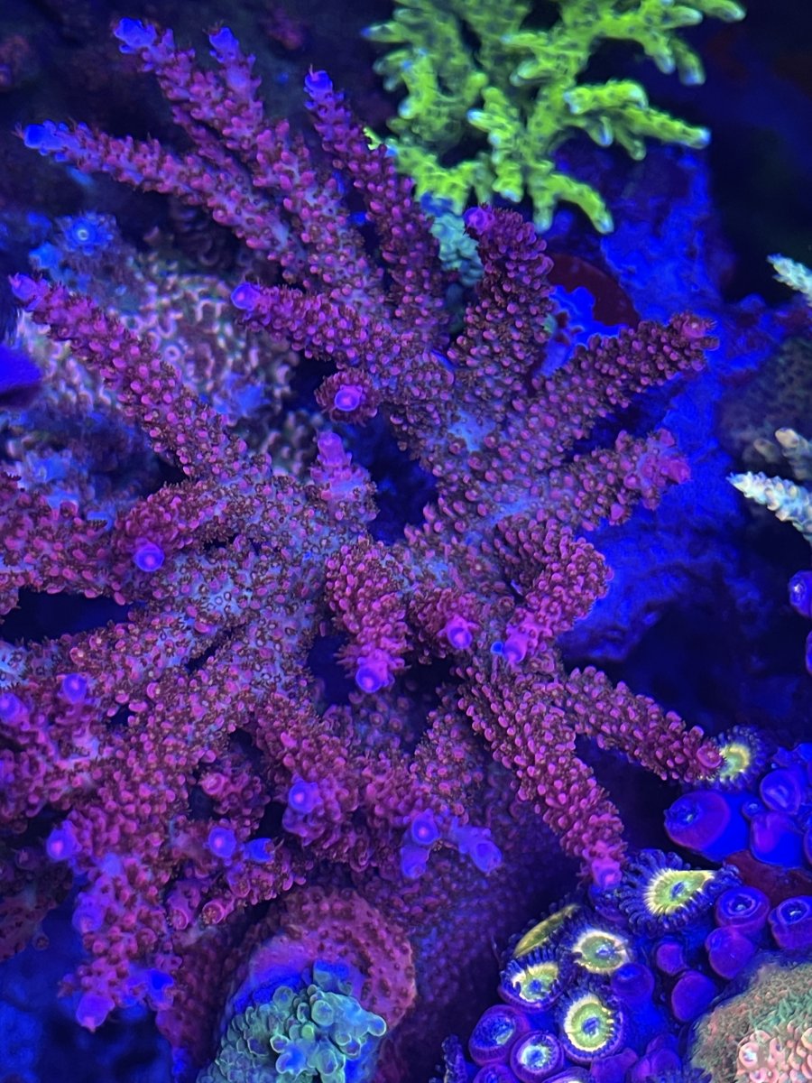 68C45E40-2A8F-4635-86C2-84233FD4D573.jpeg