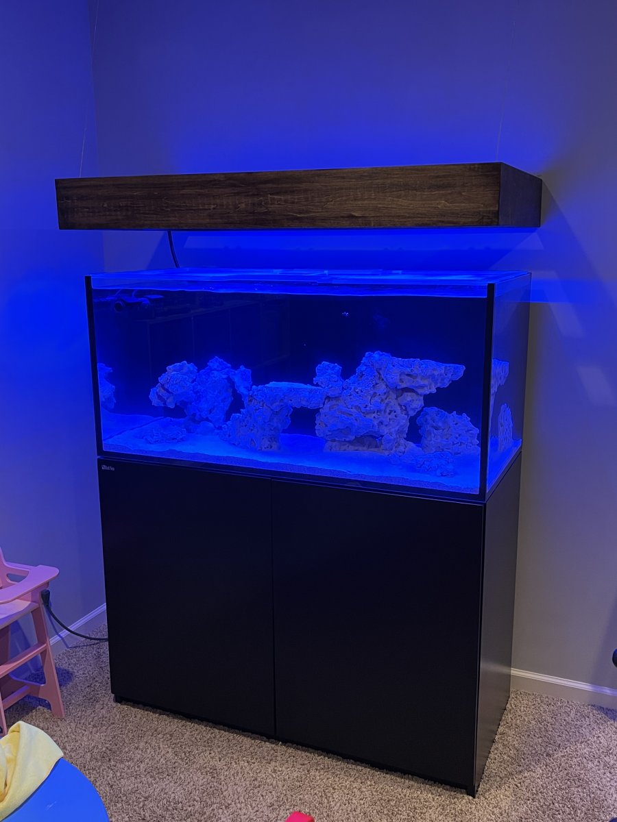 Build Thread - Red Sea XL425 after 20+ years without a tank! | Page 2 ...