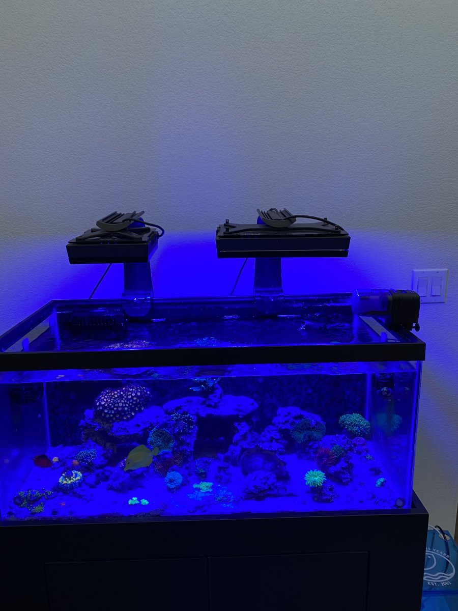 6A02B013-325C-4ABA-A145-AC3D680D17DF.jpeg