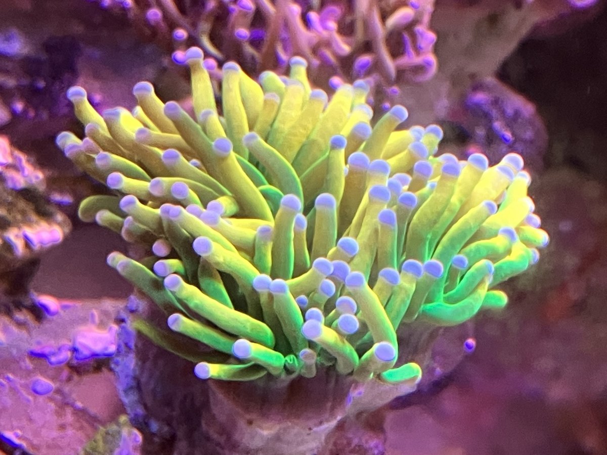 6A69F551-032C-4350-83C2-E38D6BE9E02C.jpeg