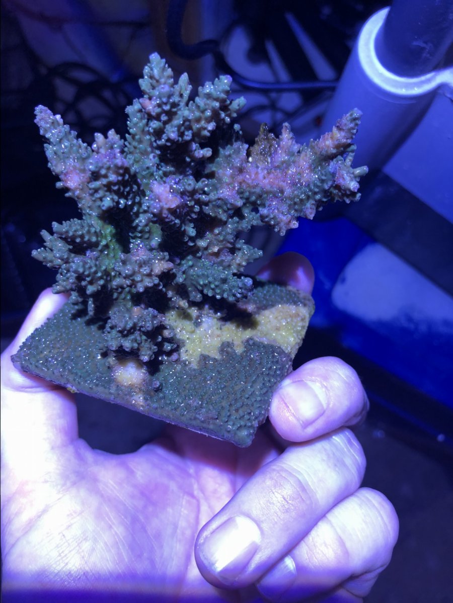 6ADA449F-1DDC-445F-AA5B-45A5493EE8D5.jpeg