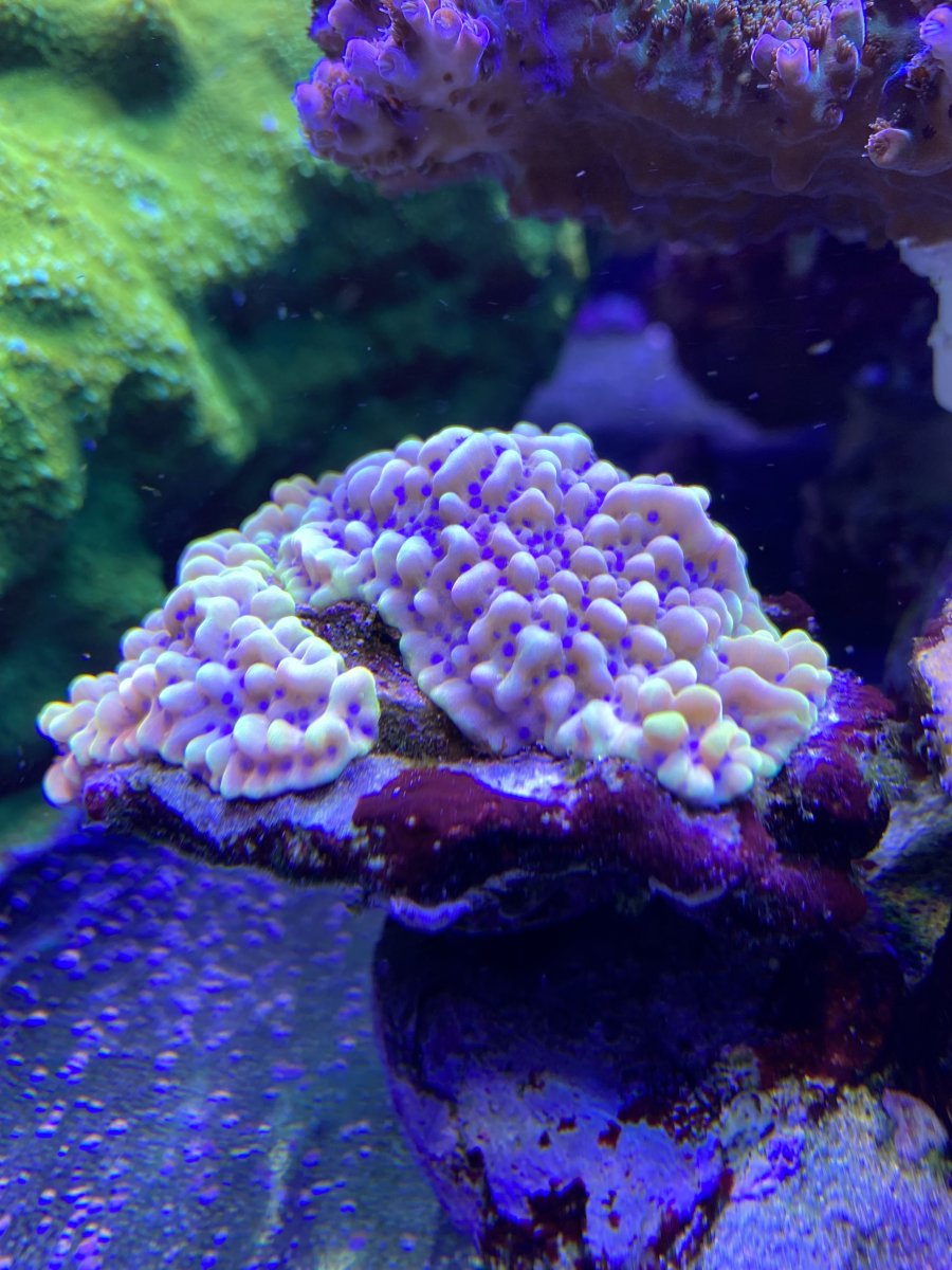 6B04B5B4-E7D7-4AA5-B370-1AE5FD0CC6A5.jpeg