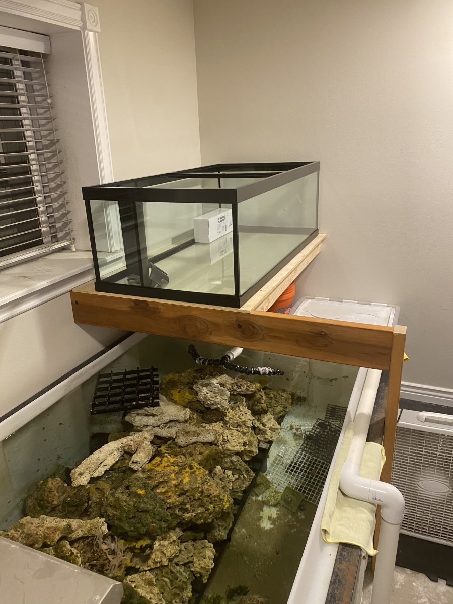 Monster Build - DIY Concrete Aquarium 5,000 gallon - Anderson Family ...