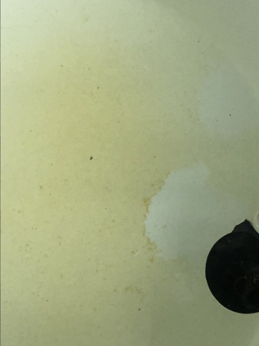 6B62061A-E4F9-4E66-B0ED-554771157ACB.jpeg