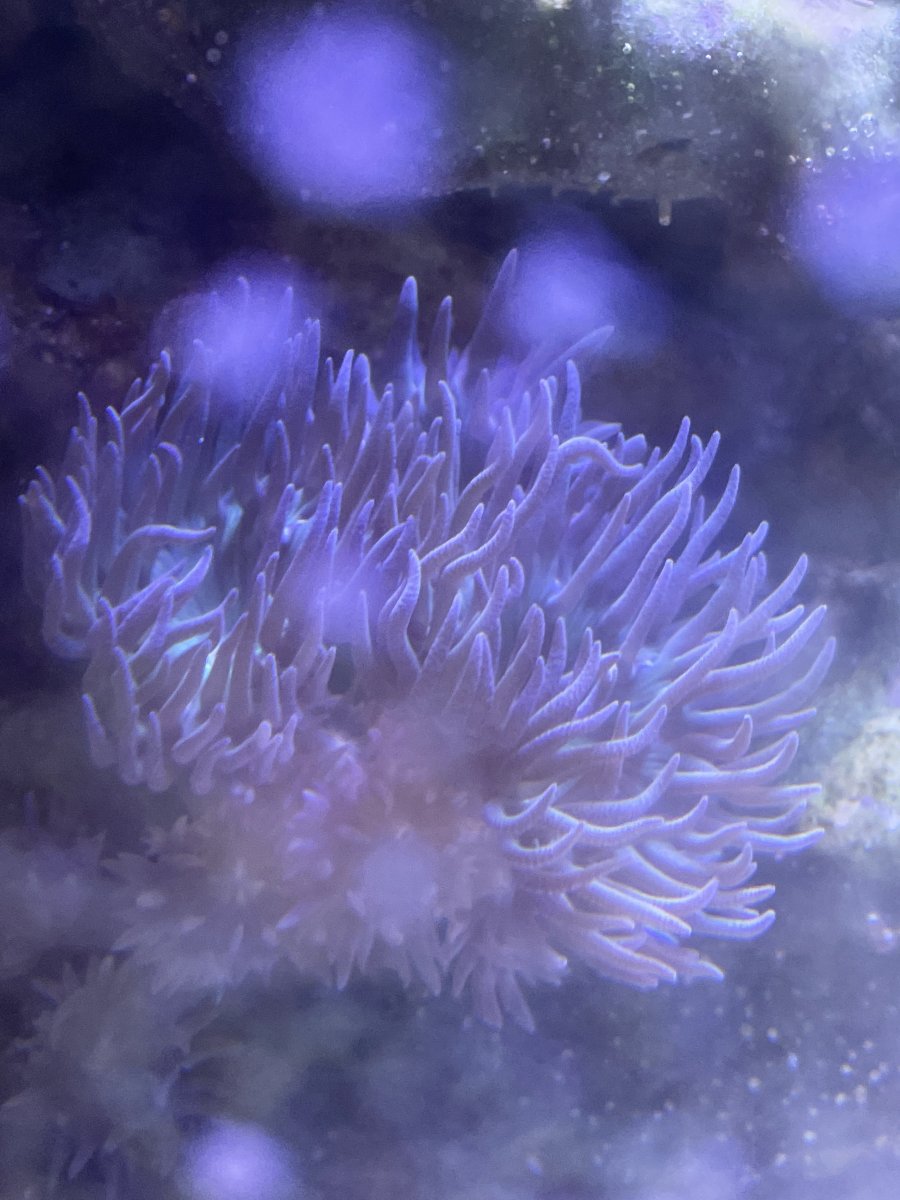 6C238F9E-AAA8-49C4-961D-E68833E56C1C.jpeg