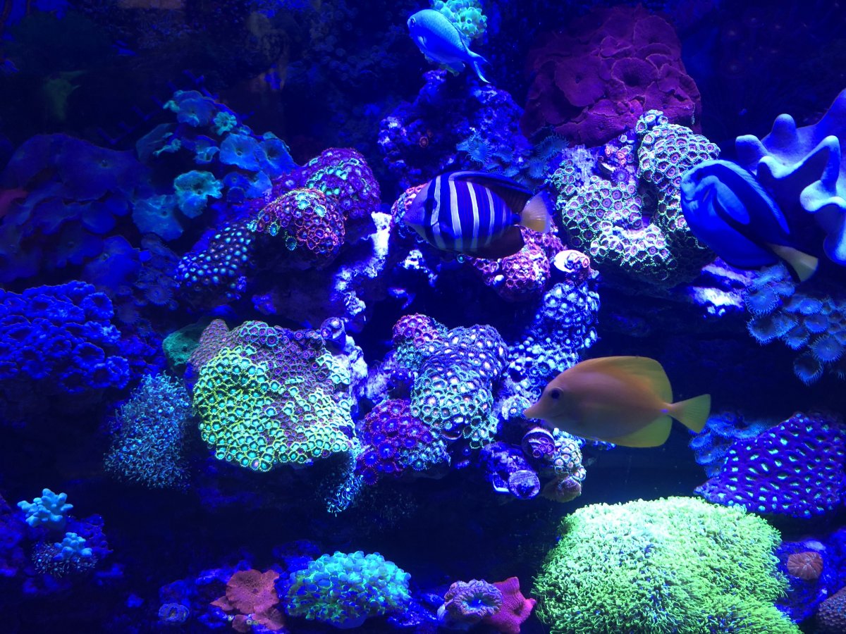6D151433-1FA7-4350-BCC2-E0597C2FB1EC.jpeg