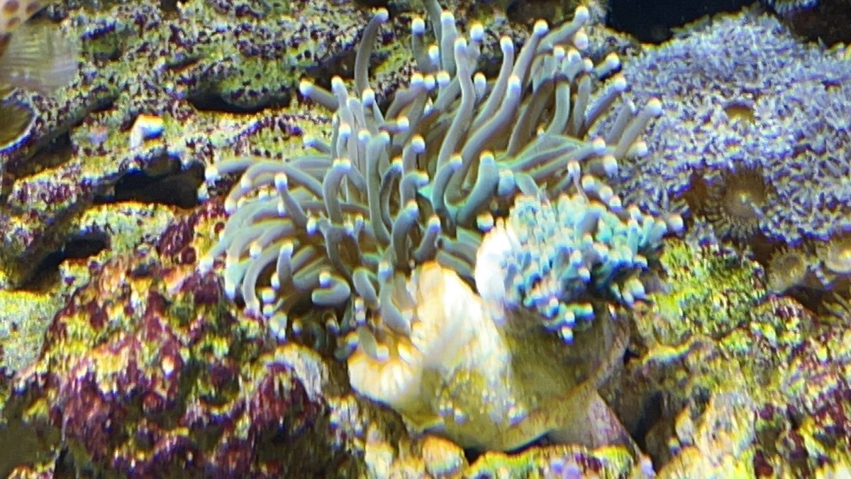 6EC2C375-718D-4F35-BF6C-B4ED9D5BC269.jpeg