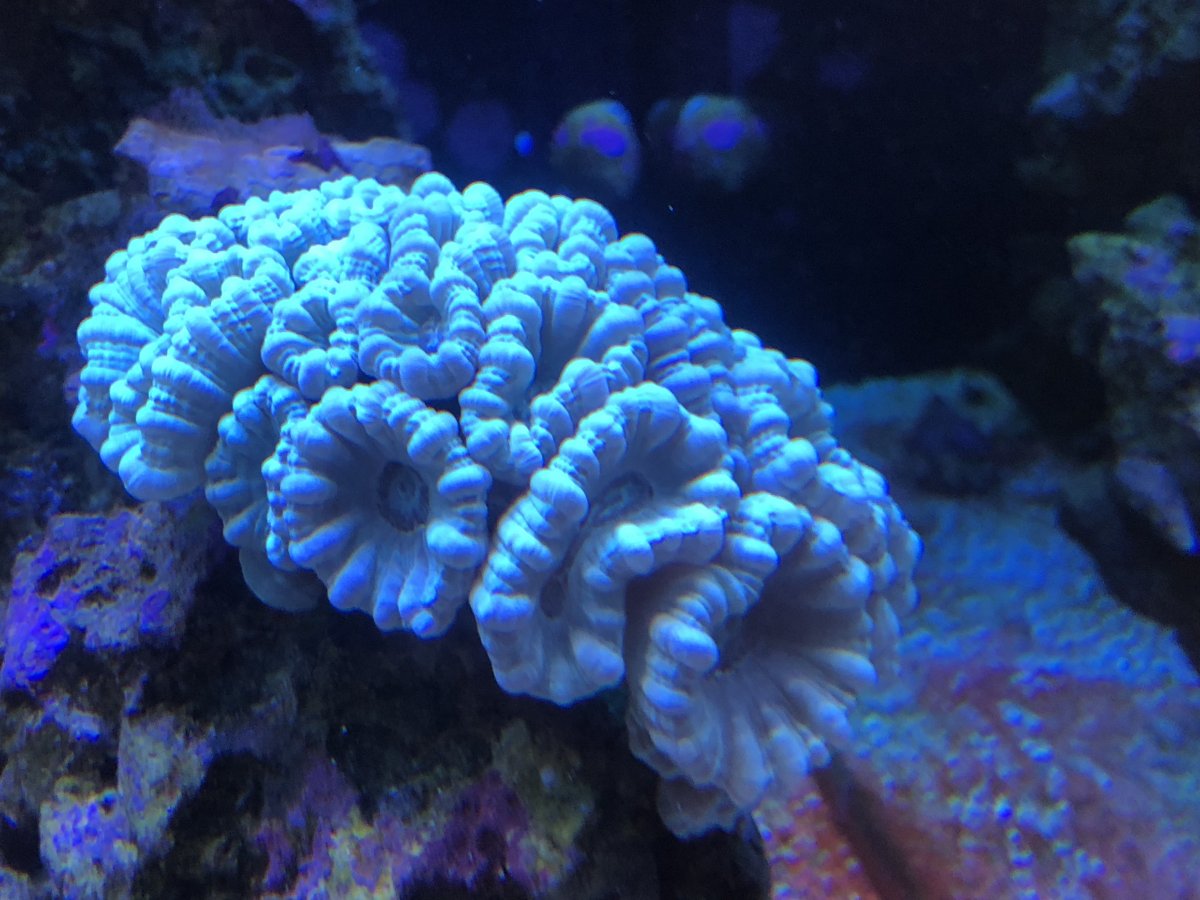 6EF78E88-A01D-4F80-AB2A-EC0D3EC2EF1C.jpeg