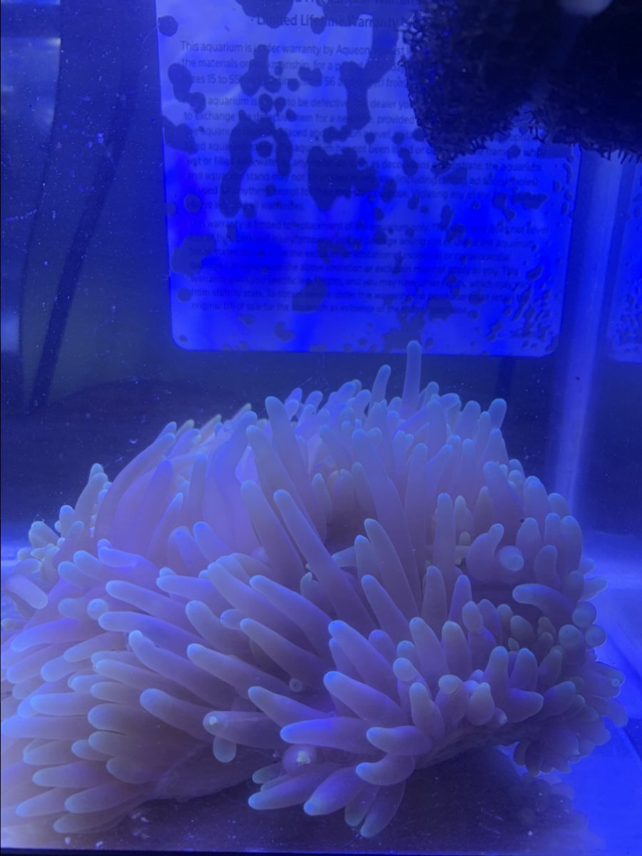 6F37C0BA-2718-449E-B60B-DA68AB637FA4.jpeg