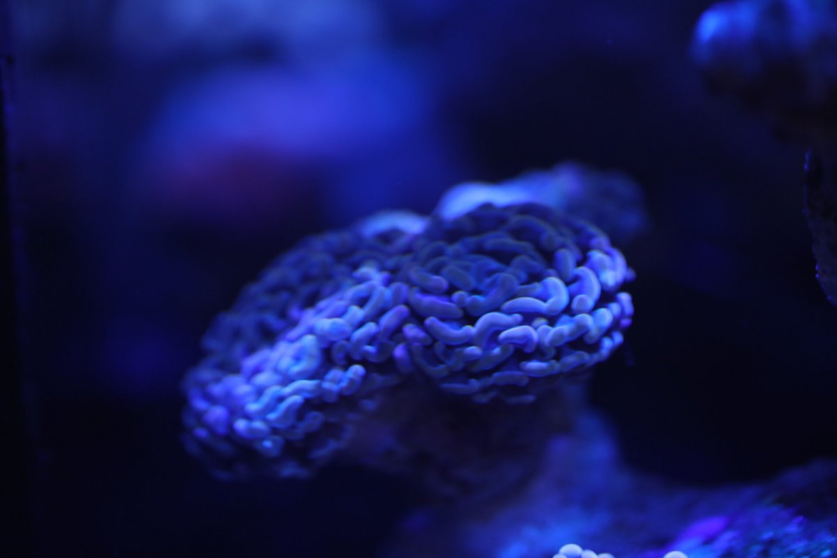 6F514D0F-92D1-4E13-849F-D90319A31CA4.jpeg