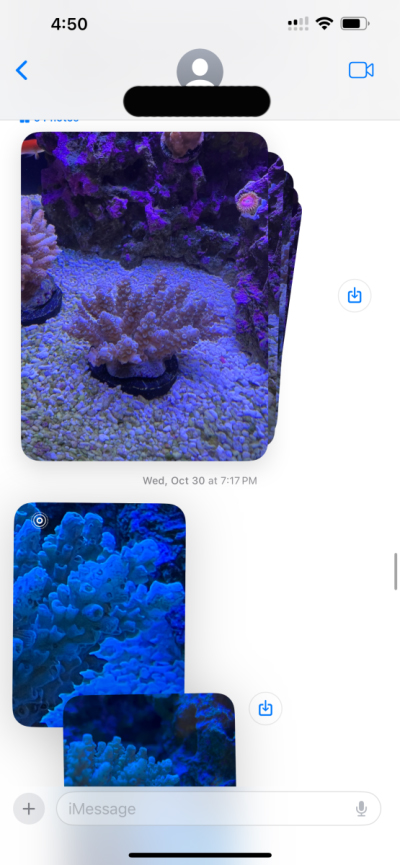 IMG_4334.png