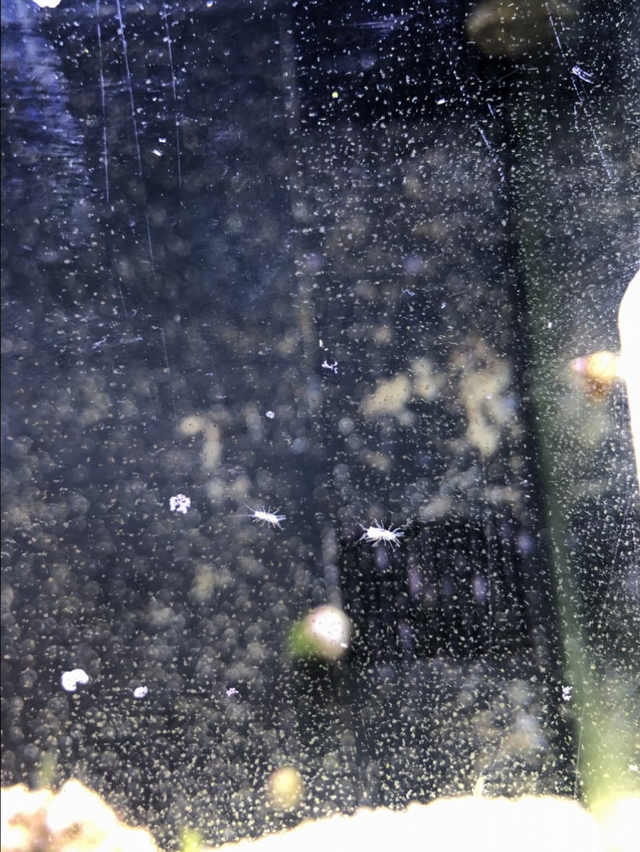 70935EA4-BB72-4624-A1D3-51D0ABEA4A7B.jpeg