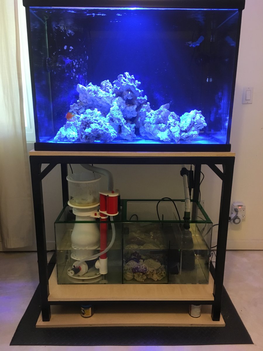 Do You Need An Aquarium Mat? Here's How To Know